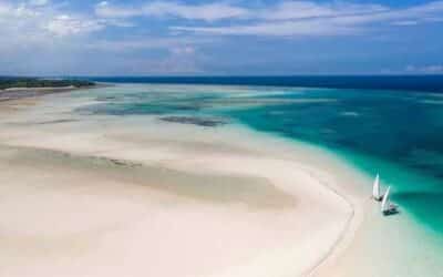 La possibilité d’une île, en Afrique