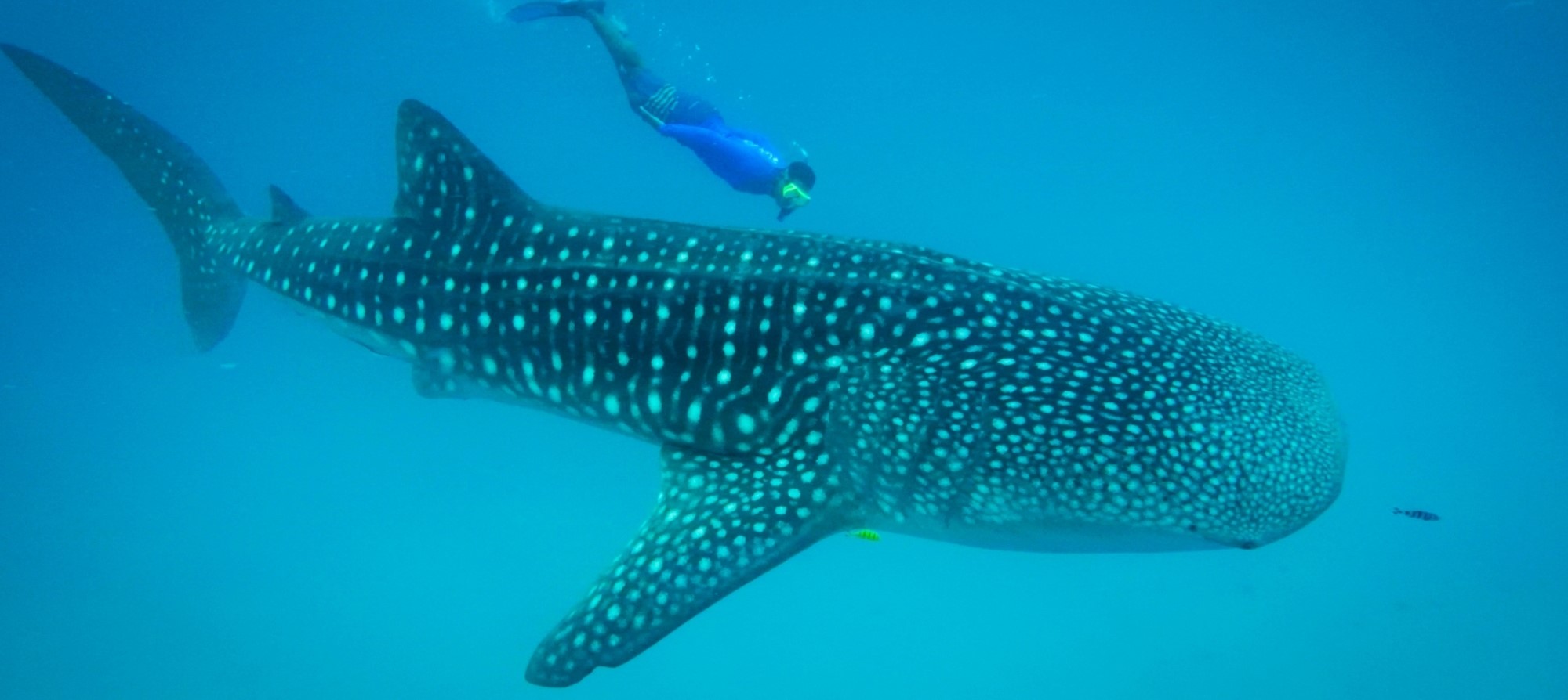 Visayas 7 Excursion en kayak sur les twins lakeà faire au départ de Dumaguete sur l'île de Negros