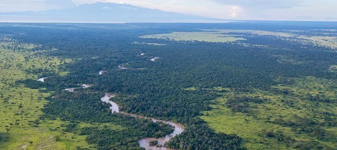 Safari Royal en Ouganda 4 Rivière et forêt du secteur d'Ishasha à Queen Elisabeth