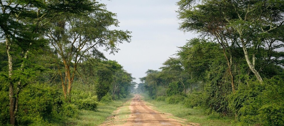 Safari Royal en Ouganda 3 Pistes qui traversent la brousse du parc Queen Elisabeth