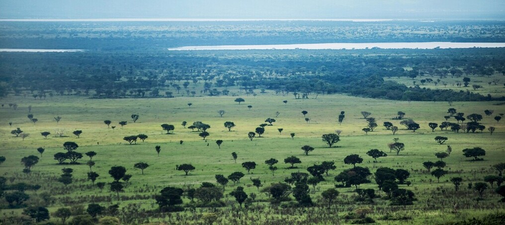 Safari Royal en Ouganda 1 Paysages du parc national Queen Elisabeth