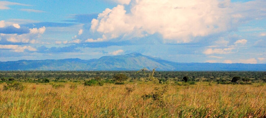 Safari Royal en Ouganda 2 Paysages du parc national Queen Elisabeth