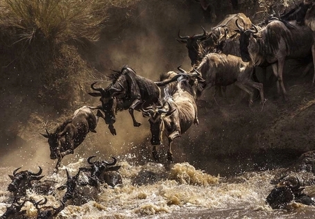 Les parcs de la vallée du Rift 20 safari grandemigration Tanzanie