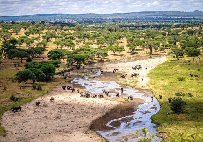 Combiné la Tanzanie avec Zanzibar 1 Seronera-centre-Serengeti-Nord-Tanzanie
